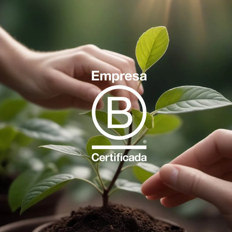 Empresa B Certificada